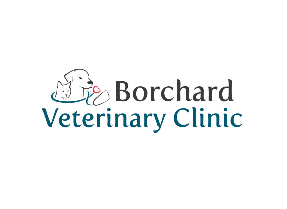Placeholder Team Borchard Veterinary Clinic